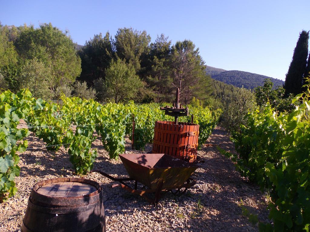 Au Havre De Paix Sainte Victoire Vauvenargues Hotel Exterior photo